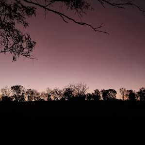 Sandy Creek Camping