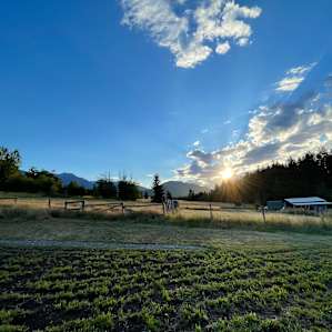 Meadow View Tent Site