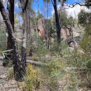 Stanthorpe... Kookaburra Ridge Camp