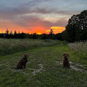 ROUND MOUND CAMPSITE