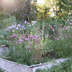 Olalla Flower Farm Camping