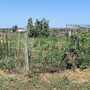 The garden at the top of the hill