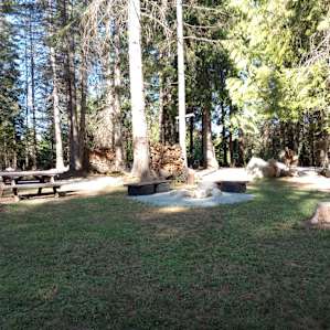 Under the Cedars - 2 with hookups