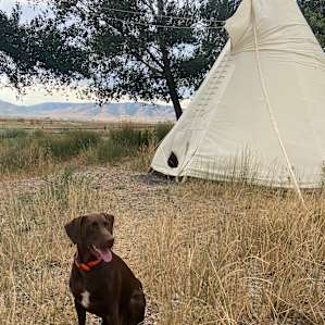 Meadow Springs Tipi and Campsite