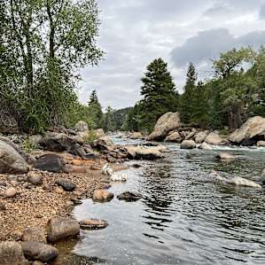 Cottonwood Shaded RV Spot