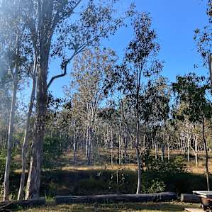 Sandy Creek Camping
