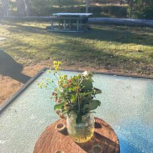 Sandy Creek Camping