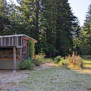 Love Shack in the Coastal Redwoods