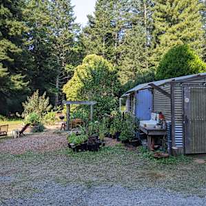 Love Shack in the Coastal Redwoods