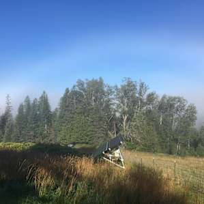 A "fogbow" as the fog was lifting.