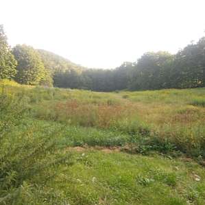 Shady Grove Getaway