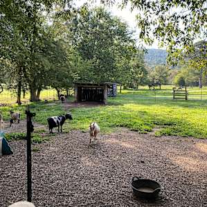 The Meadow Campsite