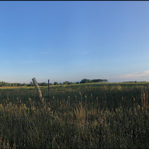 A view of the property from the path by the campsites