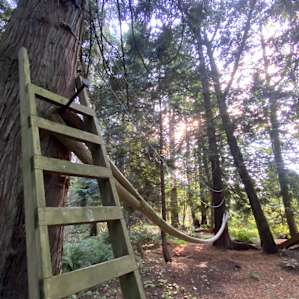 Part of the treehouse playground