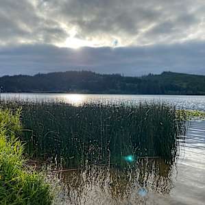 Lakeside Meadow