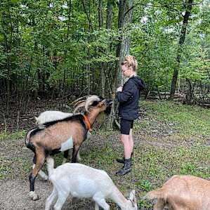 Stoney Goat Homestead