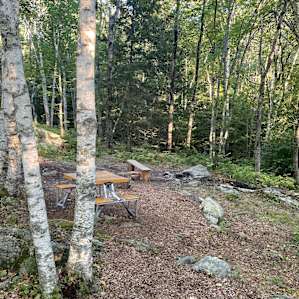 A view of the site from where we had the tent.
