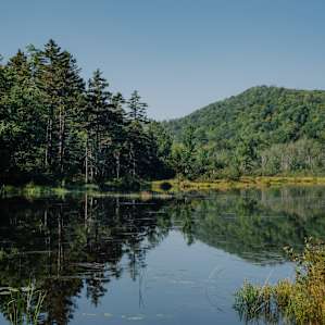 A peaceful morning at the pond.