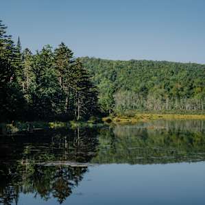 This pond is right down the road from the site and made for a perfect walk.