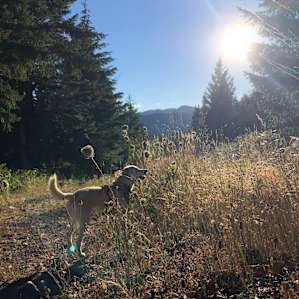 Hiking trail on the land