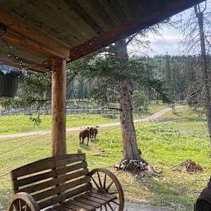 Cabin in the Meadow