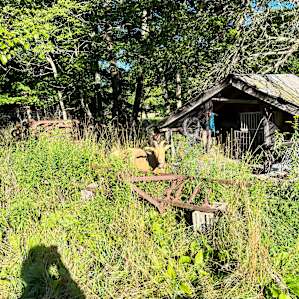 Cabin on the Butternut Creek