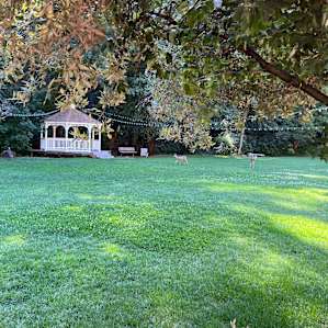 #1Glamping Safari Tent on Creek