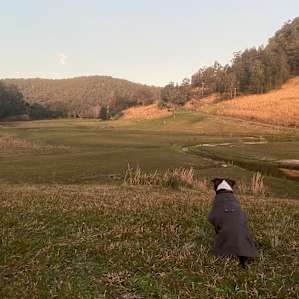 Central Coast Valley Farm Stay