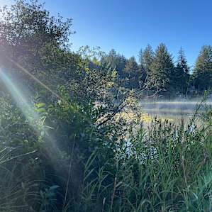 Siltcoos Cove Lakefront