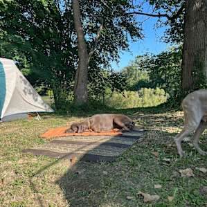 Bear Lake Experience