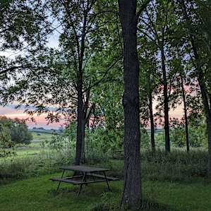 Farm Stay Tent Site