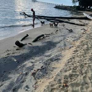The Muvaland - with private beach