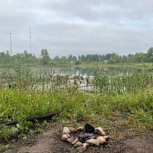 Private Camping on 137 Acres