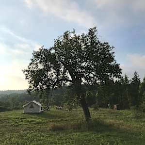 A private and very lush corner of Catskill all to yourself!