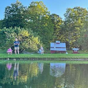 View from the pond