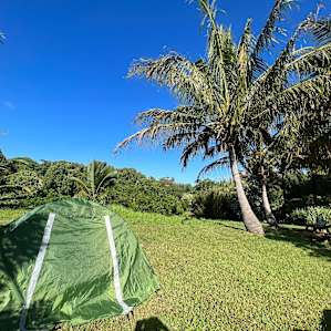 Pitch a tent in Eden