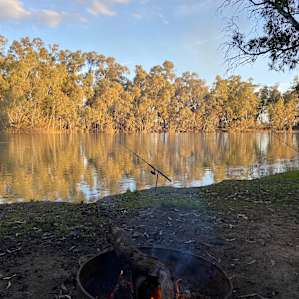 Murray River 'Pig Bend'