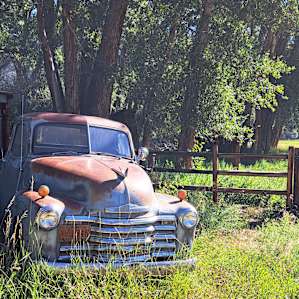 Cottonwood Shaded RV Spot