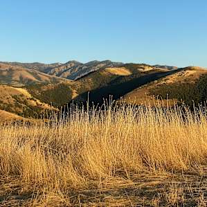 Mountain Top Getaways