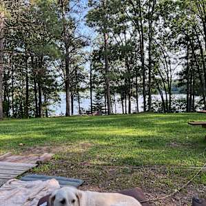 Trego Lake Lakefront Property