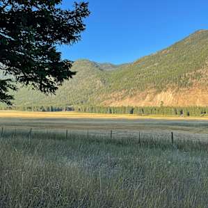 Robinson’s Roost