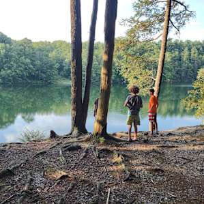 Car Camp In The Woods Near A Lake