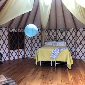 Queen Armadillo's Yurt