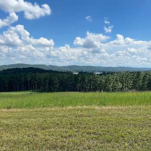 Eads Bluff Farm