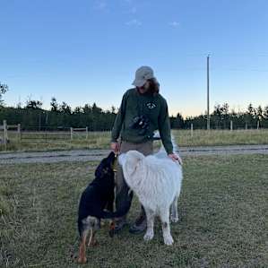 Merlin Ranch