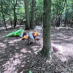 Deer Forest Hideaway