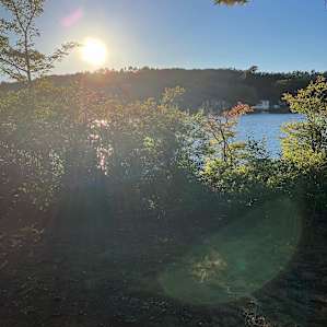 Spectacle Island Campsite