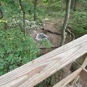 View from treehouse to fire pit