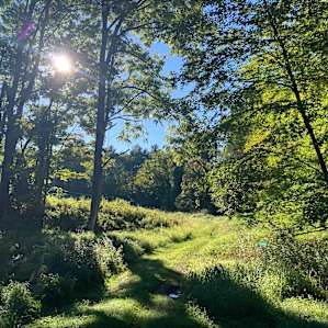 Scenic Farm Pastures