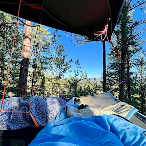 Tree Tent!